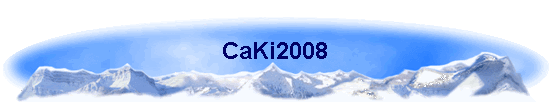 CaKi2008